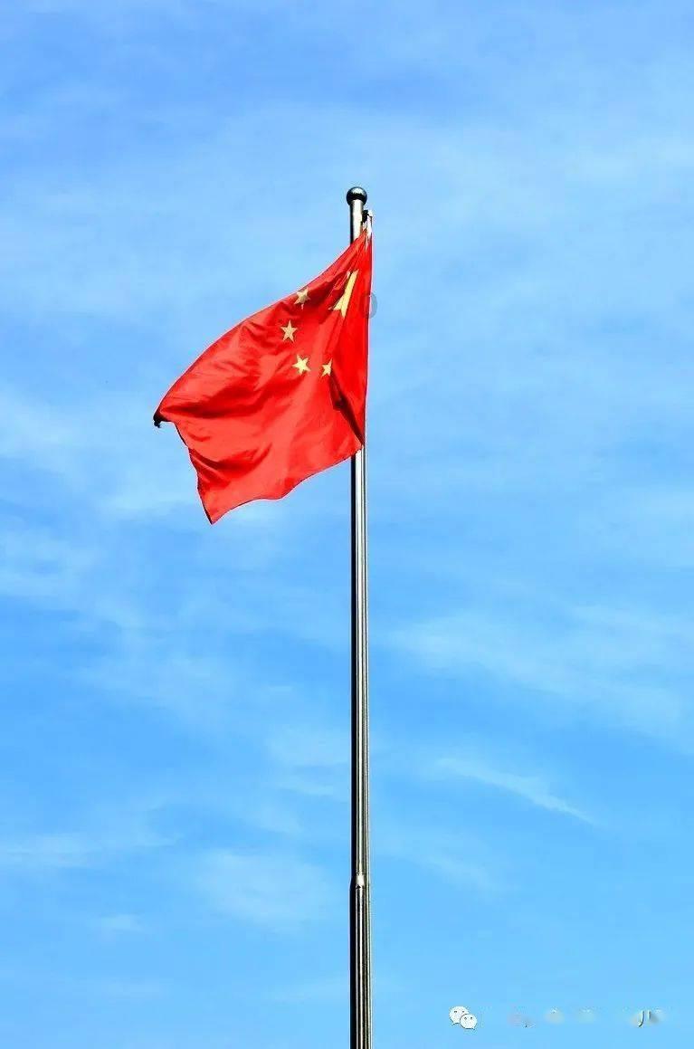 失业老公化身“政府领导” 轮椅女骗亲友几百万 被抓时健步如飞?